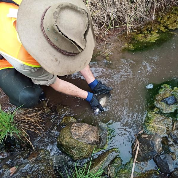 Toowoomba North Flood Recovery Project FSC Services